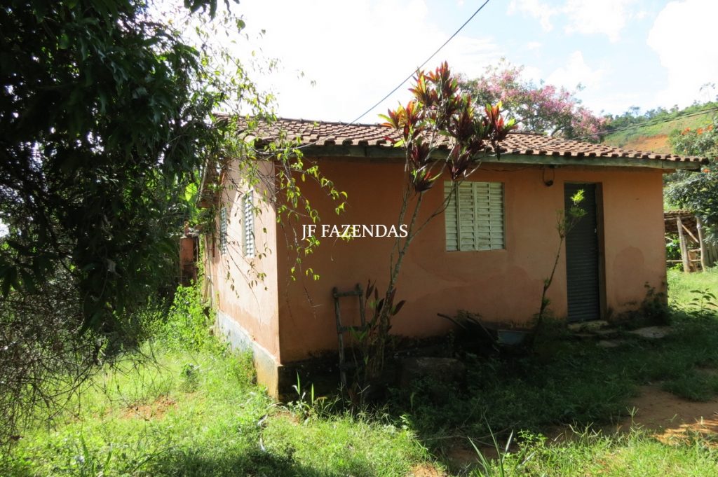 Fazenda em São João Nepomuceno – MG – 75 hectares Fazenda em São João Nepomuceno – MG – 75 hectares