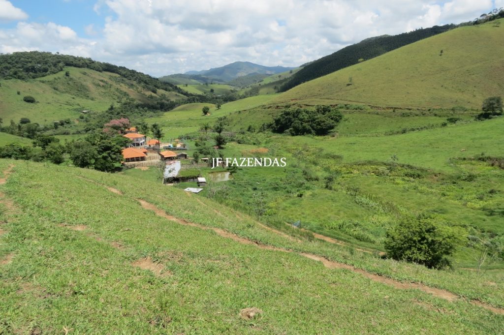 Fazenda em Juiz de Fora -MG – 166 hectares
