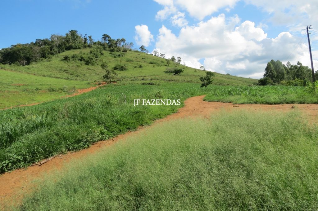 Fazenda em São João Nepomuceno – MG – 75 hectares Fazenda em São João Nepomuceno – MG – 75 hectares