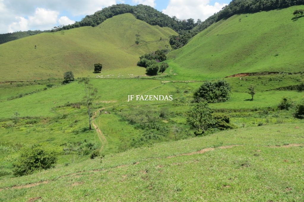 Fazenda em Juiz de Fora -MG – 166 hectares