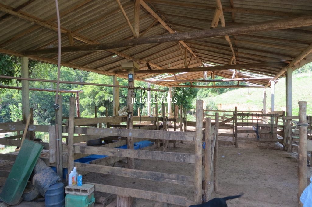 Fazenda em São João Nepomuceno – MG – 75 hectares Fazenda em São João Nepomuceno – MG – 75 hectares