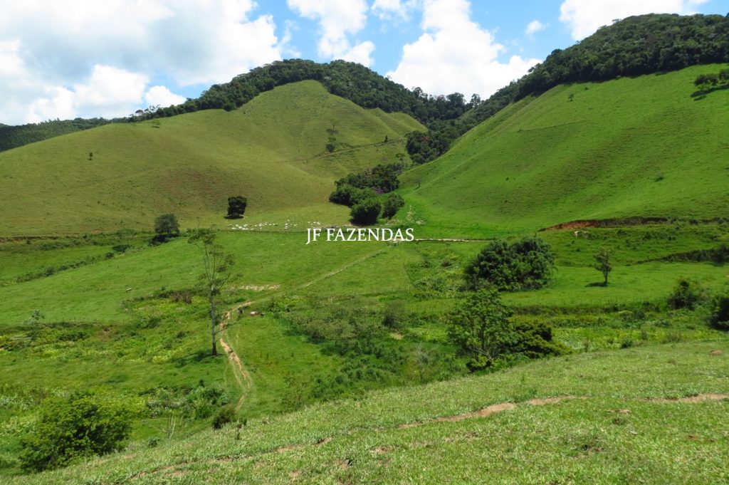 Fazenda em Juiz de Fora -MG – 166 hectares