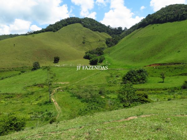 Fazenda em Juiz de Fora -MG – 166 hectares