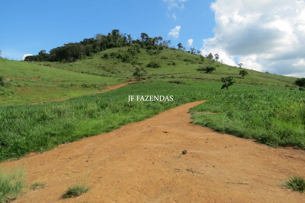 Fazenda em São João Nepomuceno – MG – 75 hectares Fazenda em São João Nepomuceno – MG – 75 hectares