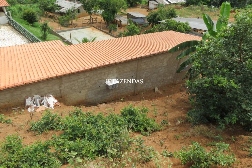 Sitio em São João Nepomuceno – MG – 12 hectares Sitio em São João Nepomuceno – MG – 12 hectares