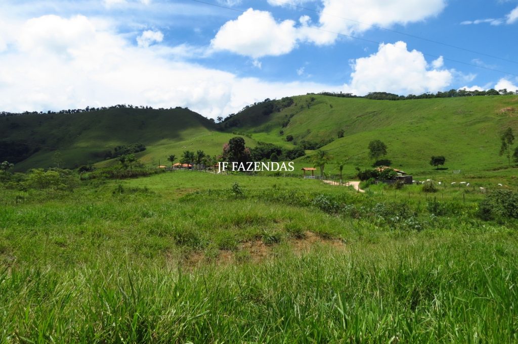 Fazenda em Juiz de Fora -MG – 166 hectares
