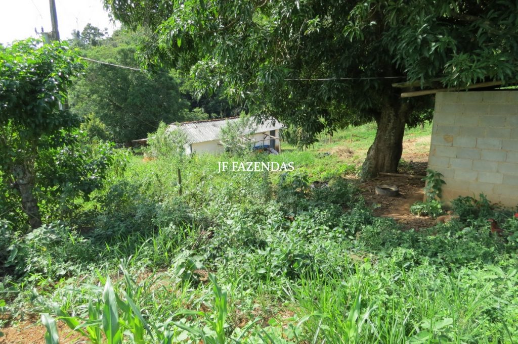 Fazenda em São João Nepomuceno – MG – 75 hectares Fazenda em São João Nepomuceno – MG – 75 hectares