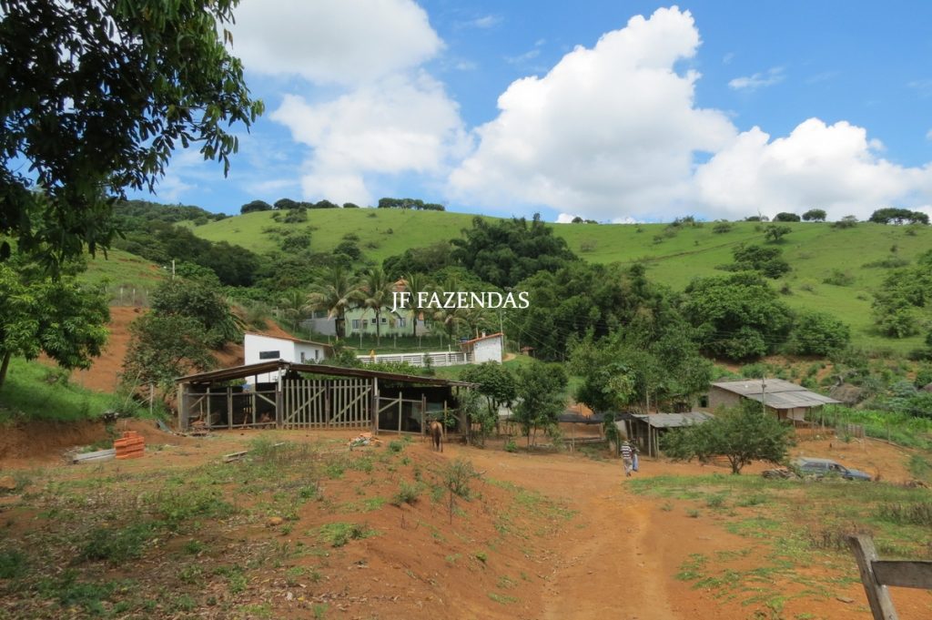 Sitio em São João Nepomuceno – MG – 12 hectares Sitio em São João Nepomuceno – MG – 12 hectares
