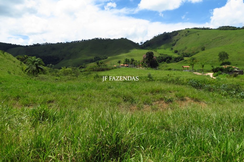 Fazenda em Juiz de Fora -MG – 166 hectares