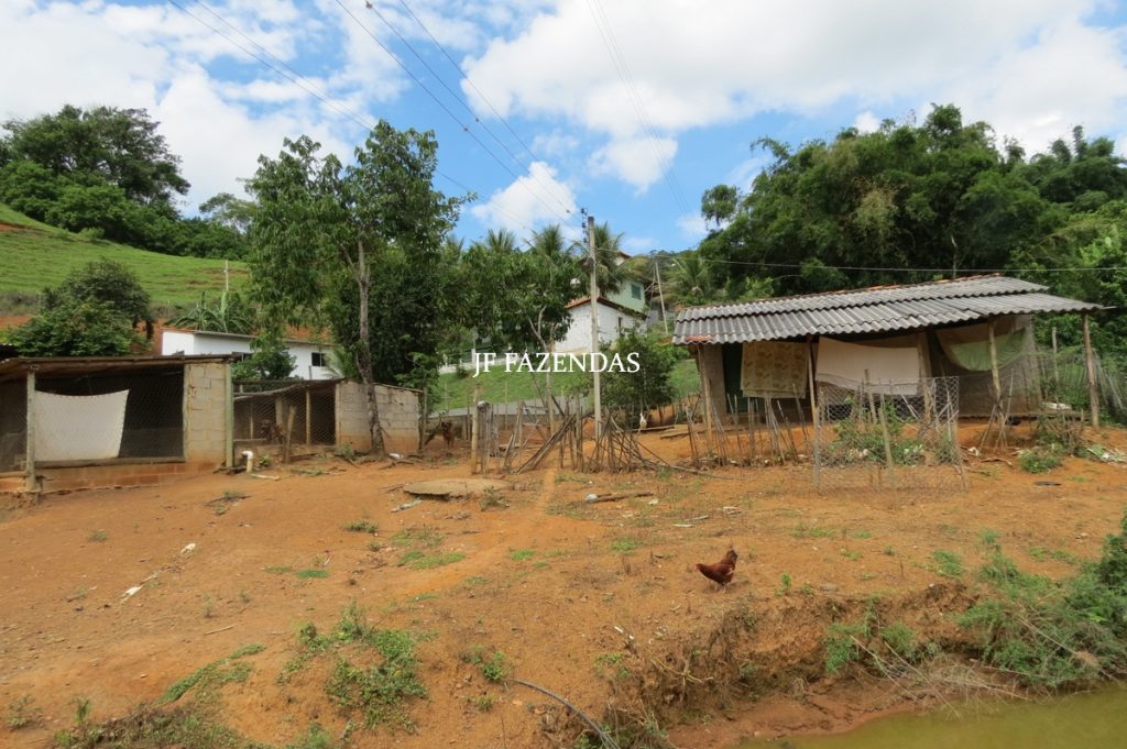 Sitio em São João Nepomuceno – MG – 12 hectares Sitio em São João Nepomuceno – MG – 12 hectares