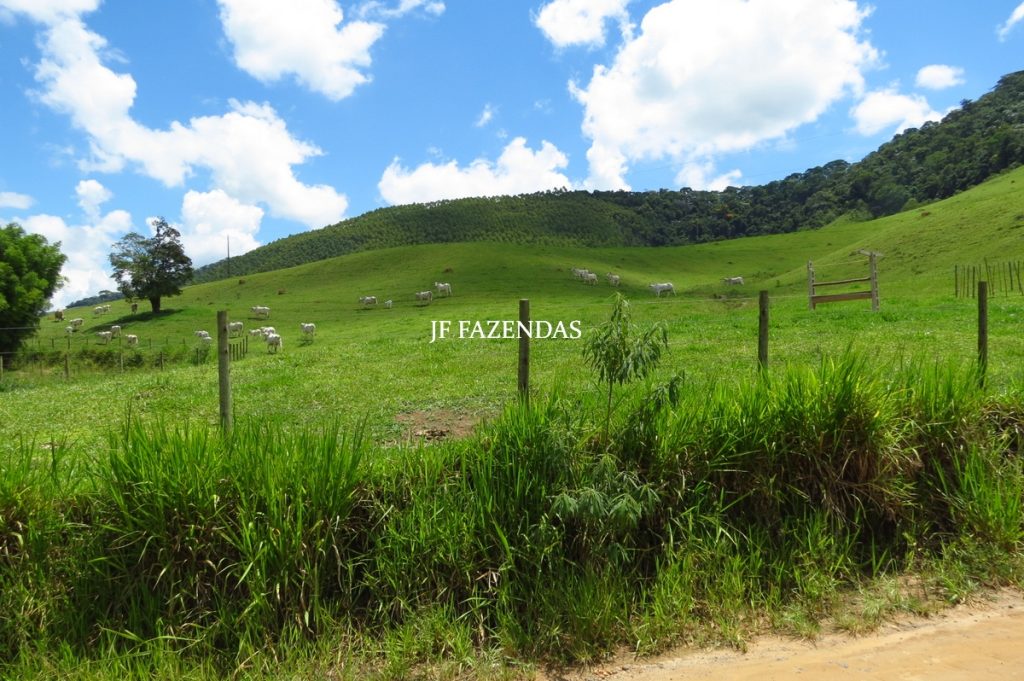 Fazenda em Juiz de Fora -MG – 166 hectares
