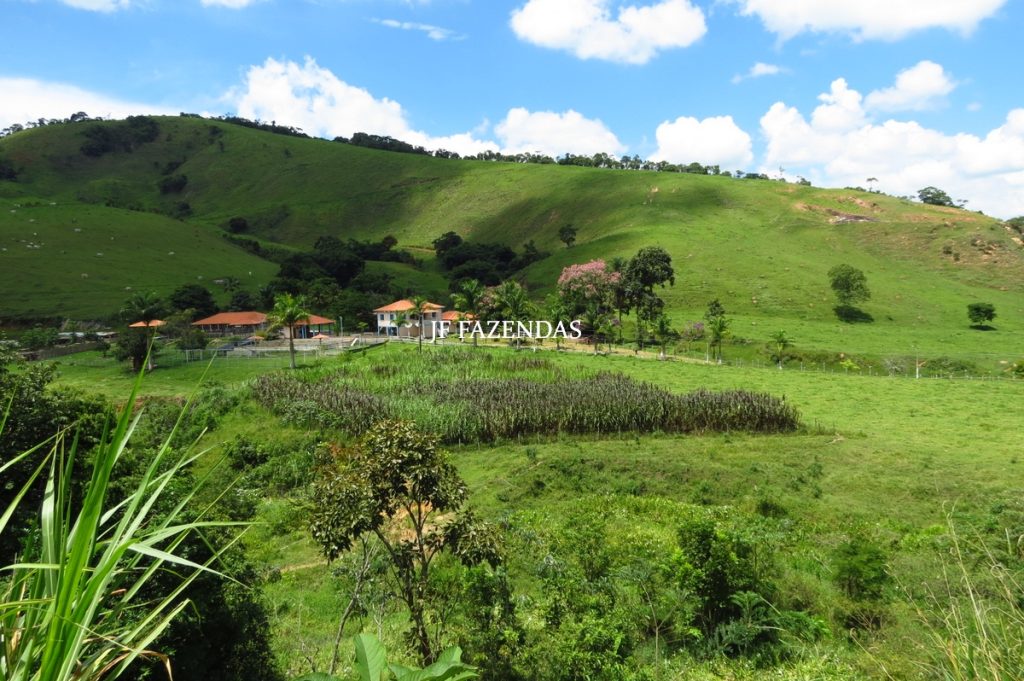 Fazenda em Juiz de Fora -MG – 166 hectares