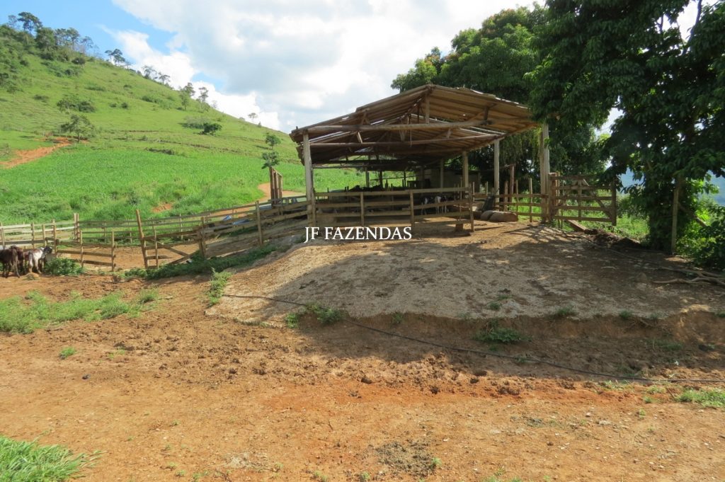 Fazenda em São João Nepomuceno – MG – 75 hectares Fazenda em São João Nepomuceno – MG – 75 hectares