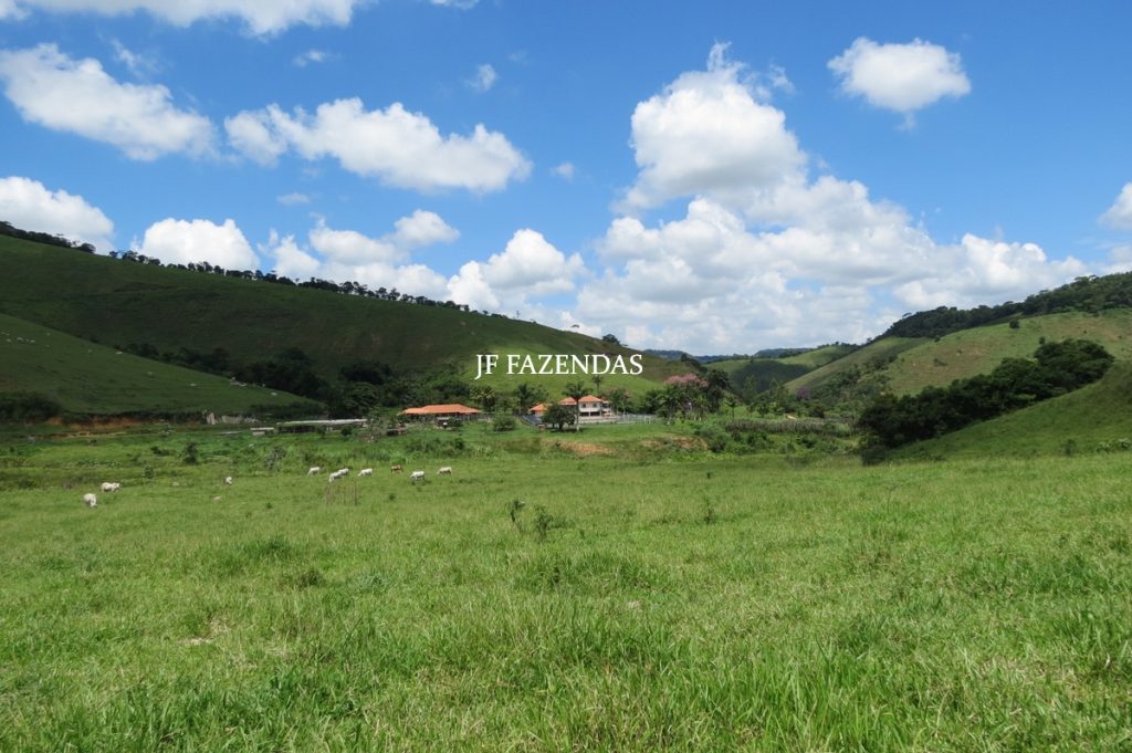 Fazenda em Juiz de Fora -MG – 166 hectares