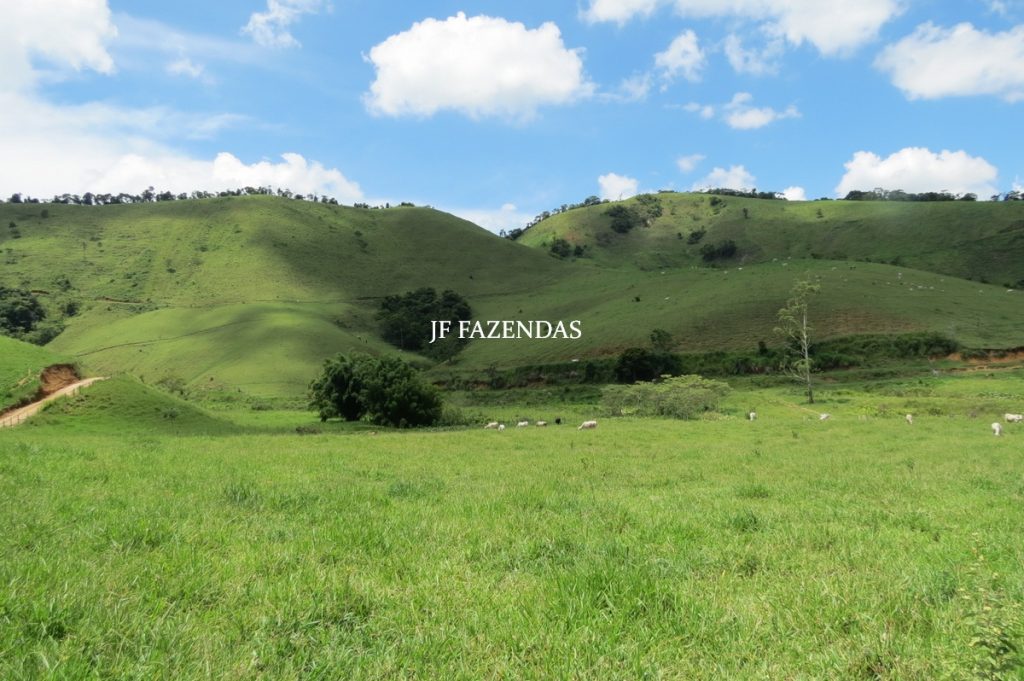 Fazenda em Juiz de Fora -MG – 166 hectares Fazenda em Juiz de Fora -MG – 166 hectares