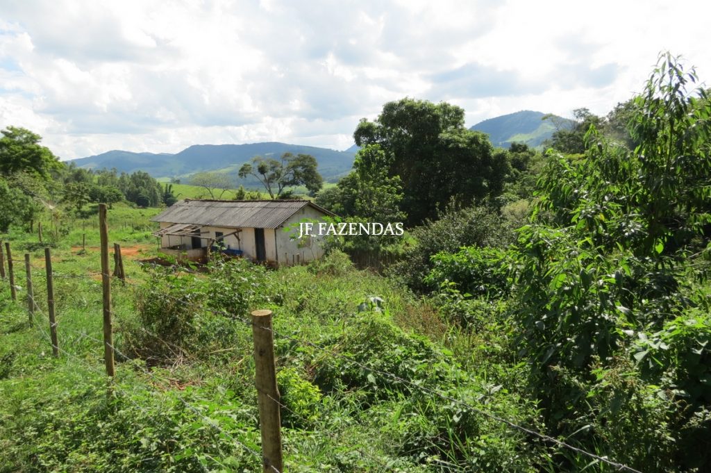 Fazenda em São João Nepomuceno – MG – 75 hectares Fazenda em São João Nepomuceno – MG – 75 hectares