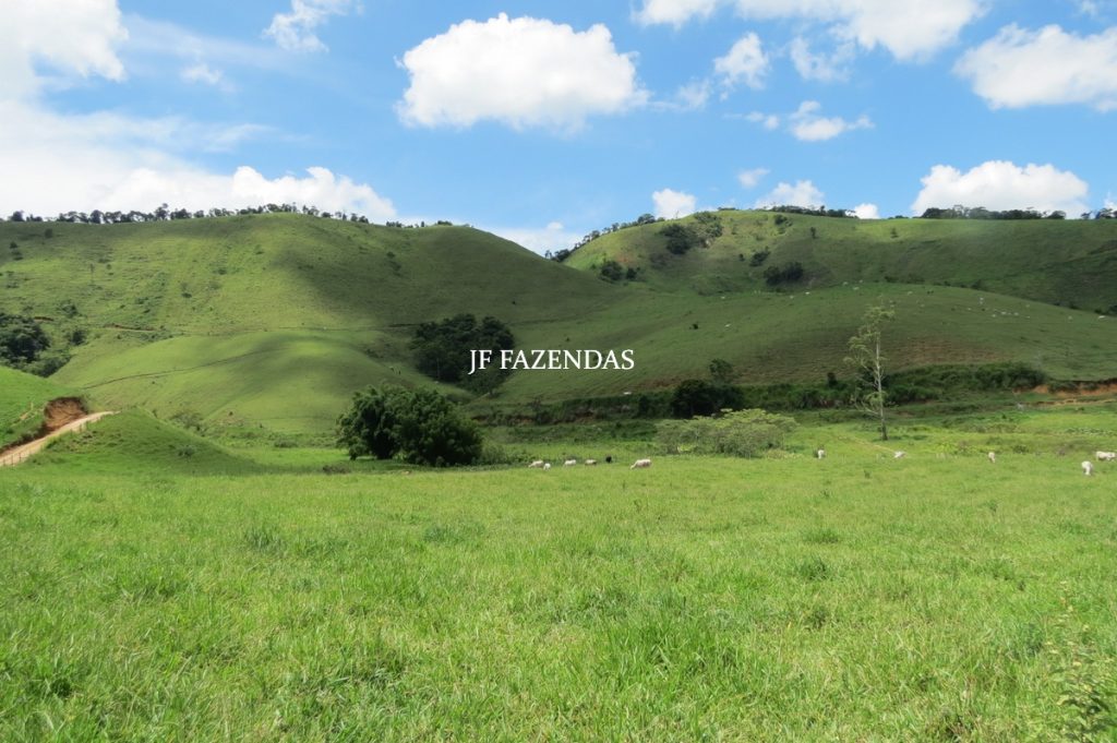 Fazenda em Juiz de Fora -MG – 166 hectares
