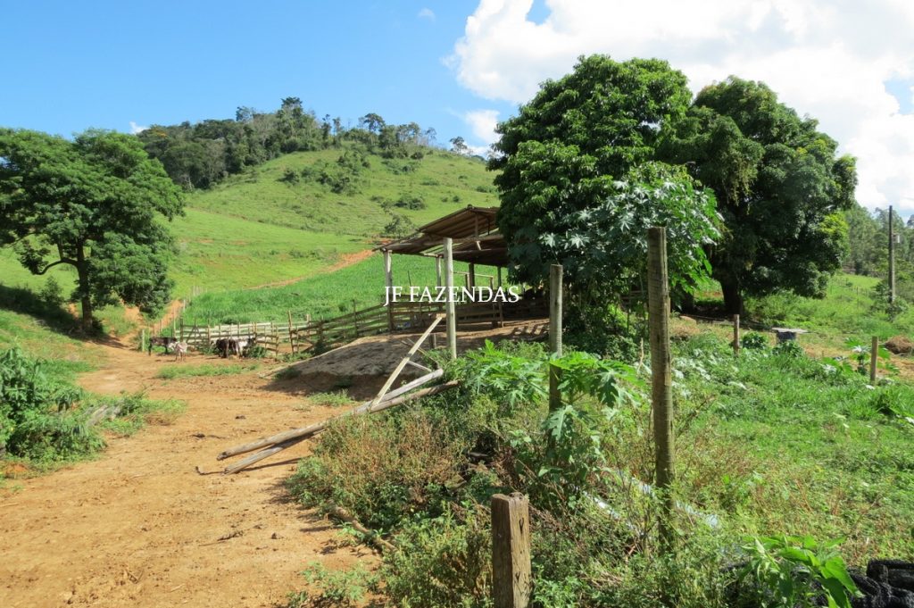 Fazenda em São João Nepomuceno – MG – 75 hectares Fazenda em São João Nepomuceno – MG – 75 hectares