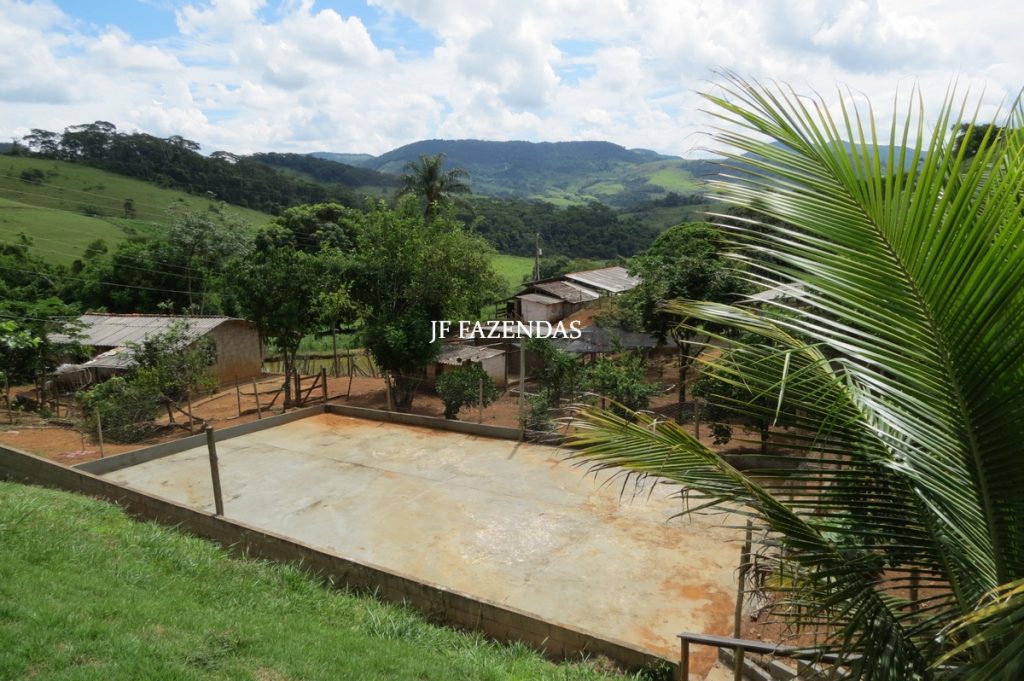 Sitio em São João Nepomuceno – MG – 12 hectares Sitio em São João Nepomuceno – MG – 12 hectares