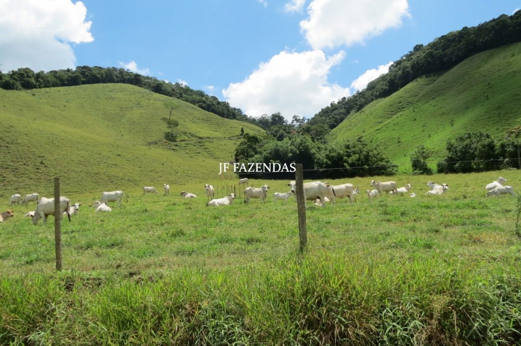 Fazenda em Juiz de Fora -MG – 166 hectares