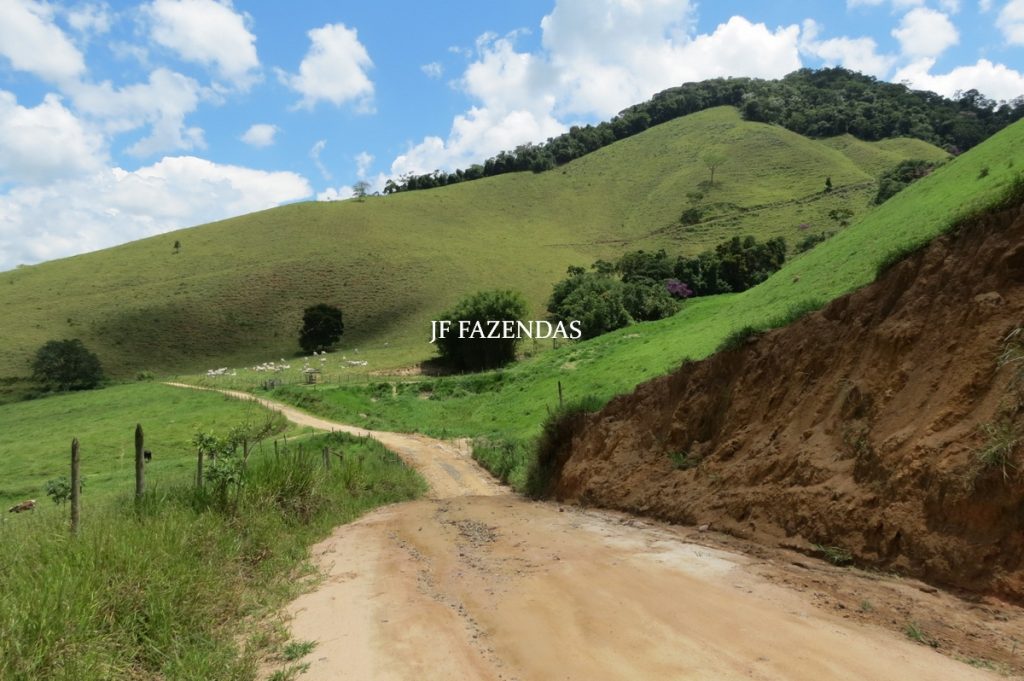 Fazenda em Juiz de Fora -MG – 166 hectares