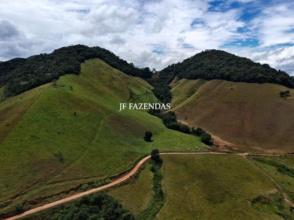 Fazenda em Juiz de Fora -MG – 166 hectares Fazenda em Juiz de Fora -MG – 166 hectares