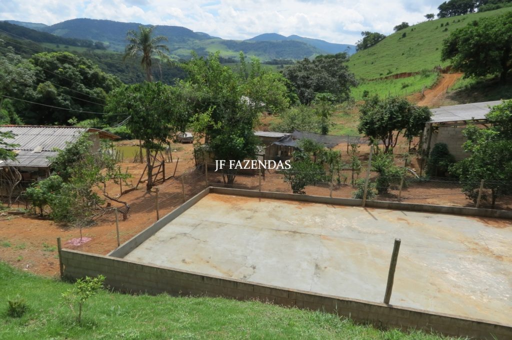 Sitio em São João Nepomuceno – MG – 12 hectares Sitio em São João Nepomuceno – MG – 12 hectares