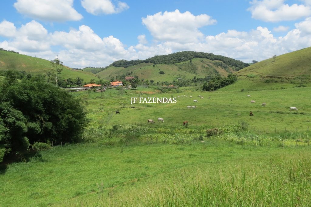 Fazenda em Juiz de Fora -MG – 166 hectares