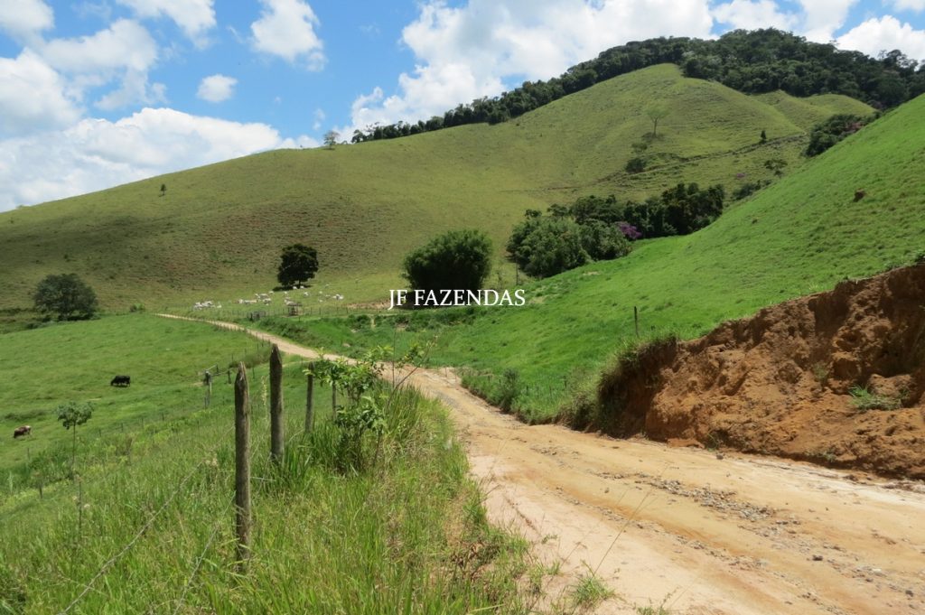 Fazenda em Juiz de Fora -MG – 166 hectares