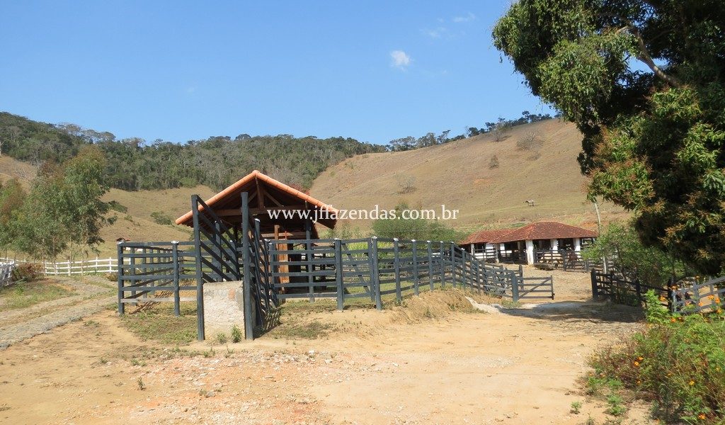 Sítio em Juiz de Fora – 82,2 hectares Sítio em Juiz de Fora – 82,2 hectares