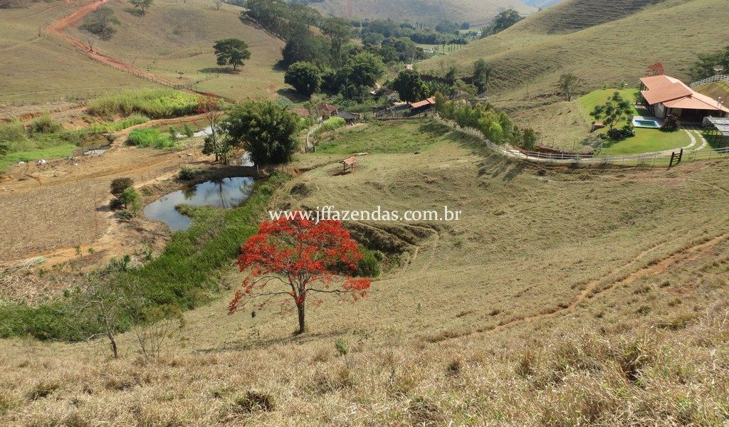 Sítio em Juiz de Fora – 82,2 hectares Sítio em Juiz de Fora – 82,2 hectares