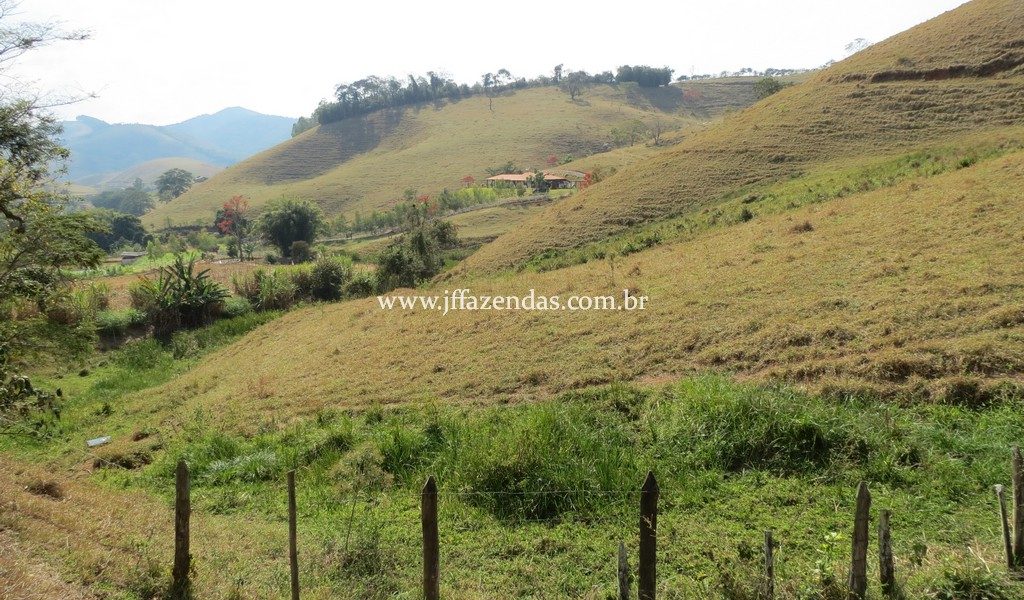 Sítio em Juiz de Fora – 82,2 hectares Sítio em Juiz de Fora – 82,2 hectares