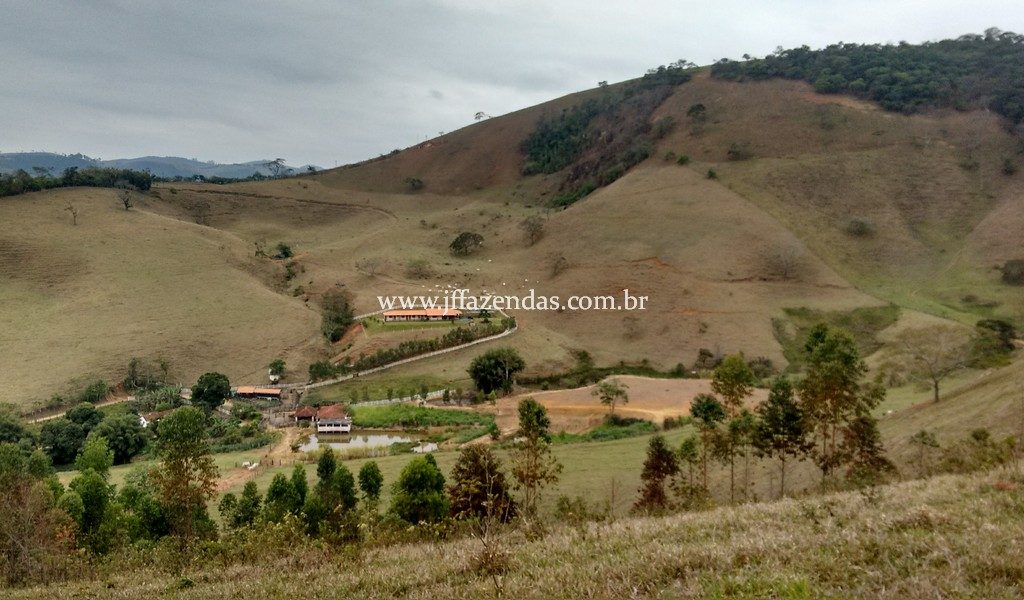 Sítio em Juiz de Fora – 82,2 hectares Sítio em Juiz de Fora – 82,2 hectares