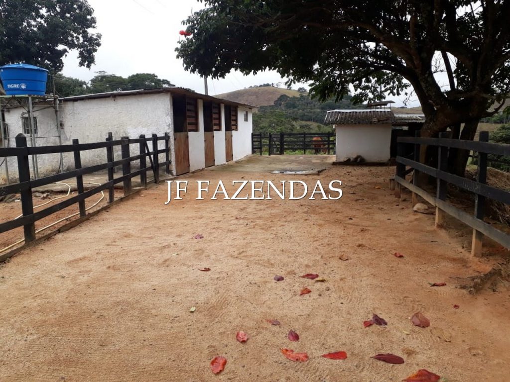 Sítio em Juiz de Fora- MG – 7,4 hectares Sítio em Juiz de Fora- MG – 7,4 hectares