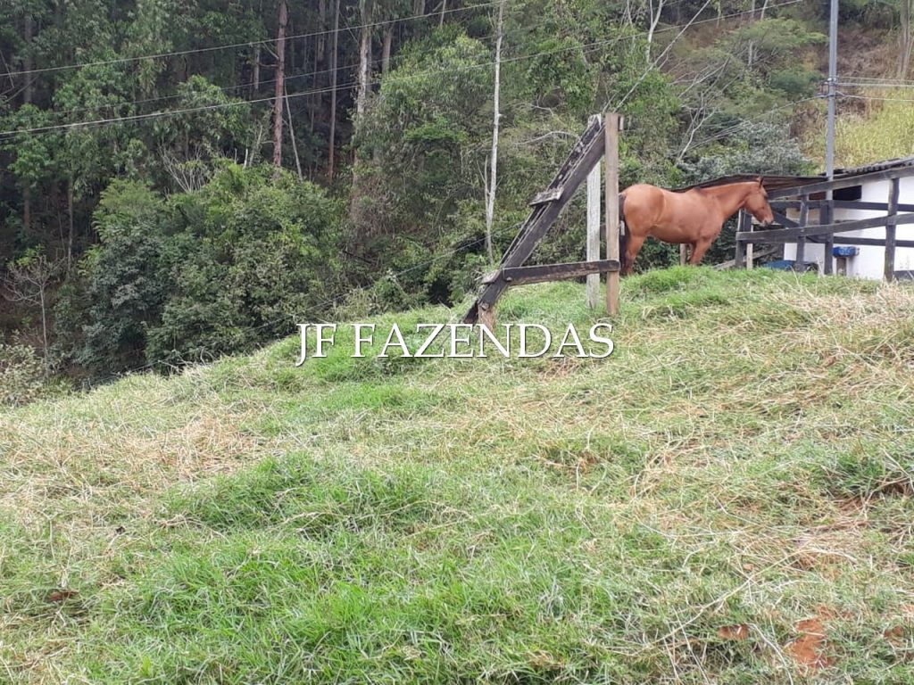 Sítio em Juiz de Fora- MG – 7,4 hectares Sítio em Juiz de Fora- MG – 7,4 hectares