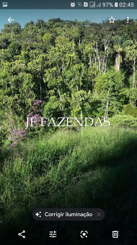 Sítio em Juiz de Fora- MG – 7,4 hectares Sítio em Juiz de Fora- MG – 7,4 hectares
