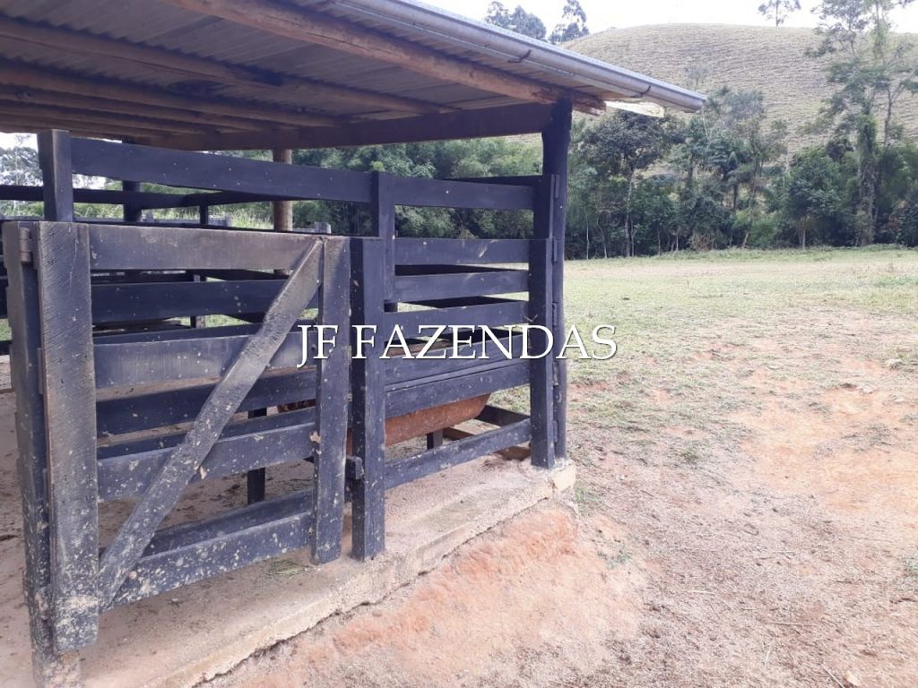 Sítio em Juiz de Fora- MG – 7,4 hectares Sítio em Juiz de Fora- MG – 7,4 hectares