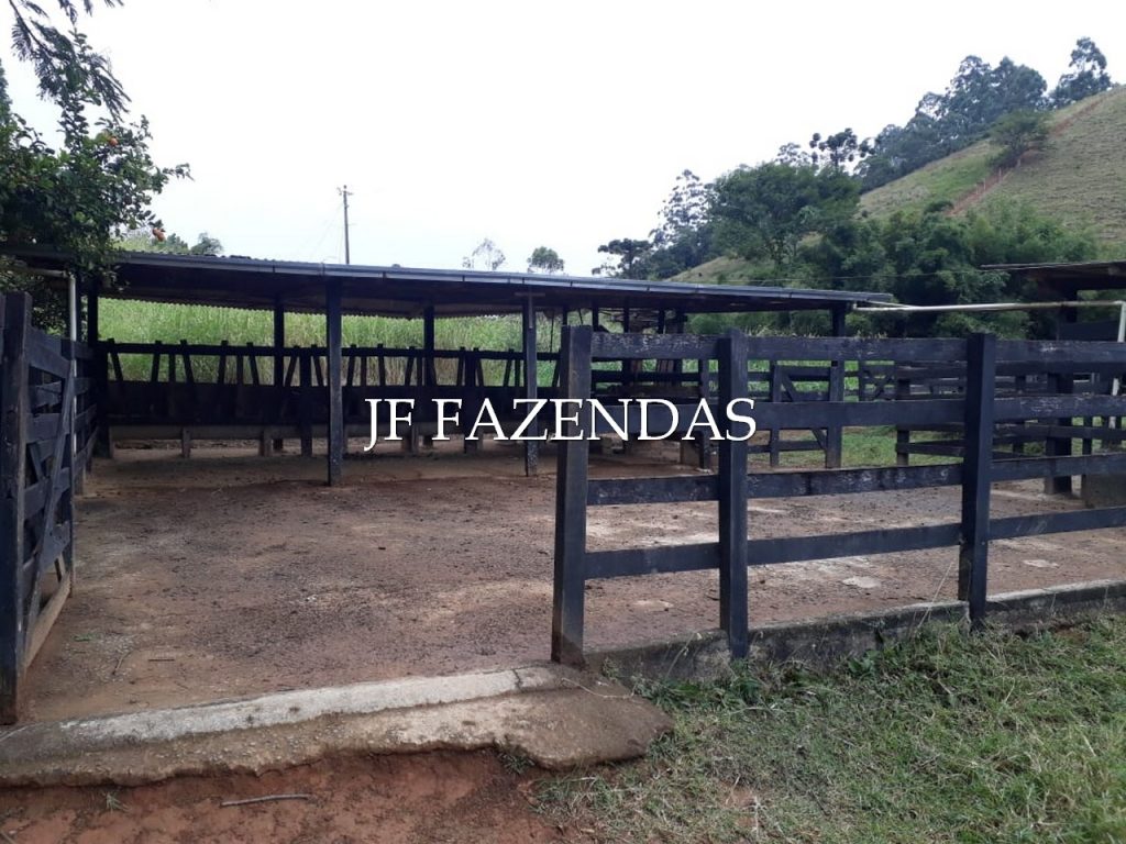 Sítio em Juiz de Fora- MG – 7,4 hectares Sítio em Juiz de Fora- MG – 7,4 hectares