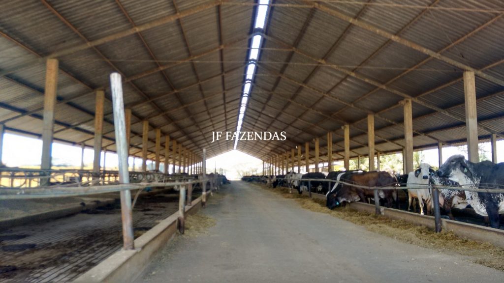 Fazenda modelo em Juiz de Fora- MG – 2679 hectares