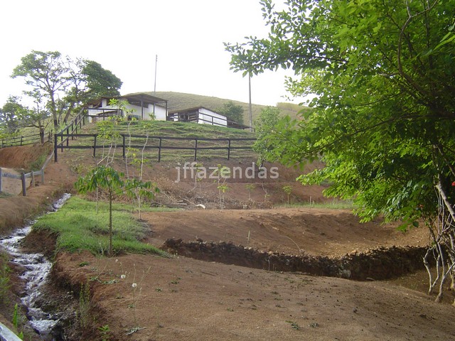 Sítio em Juiz de Fora- MG – 7,4 hectares Sítio em Juiz de Fora- MG – 7,4 hectares