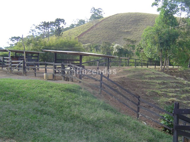 Sítio em Juiz de Fora- MG – 7,4 hectares Sítio em Juiz de Fora- MG – 7,4 hectares