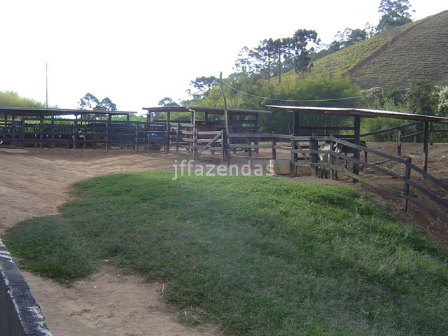Sítio em Juiz de Fora- MG – 7,4 hectares Sítio em Juiz de Fora- MG – 7,4 hectares