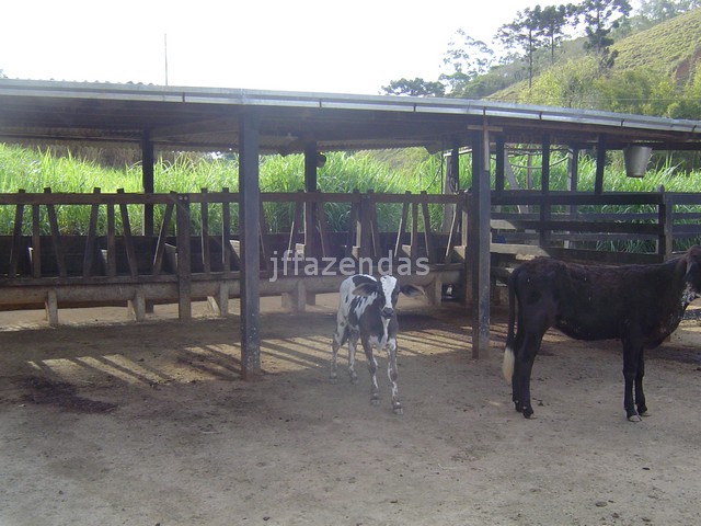 Sítio em Juiz de Fora- MG – 7,4 hectares Sítio em Juiz de Fora- MG – 7,4 hectares