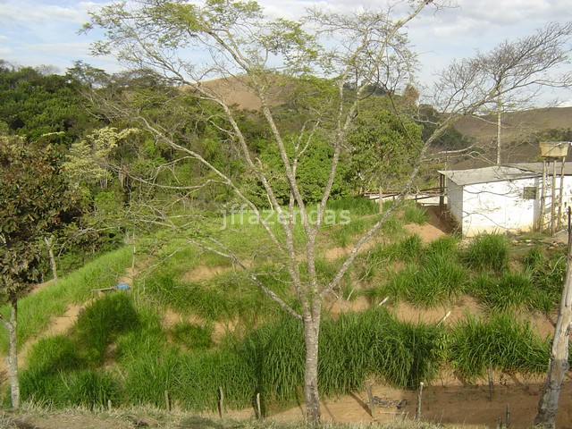 Sítio em Juiz de Fora- MG – 7,4 hectares Sítio em Juiz de Fora- MG – 7,4 hectares