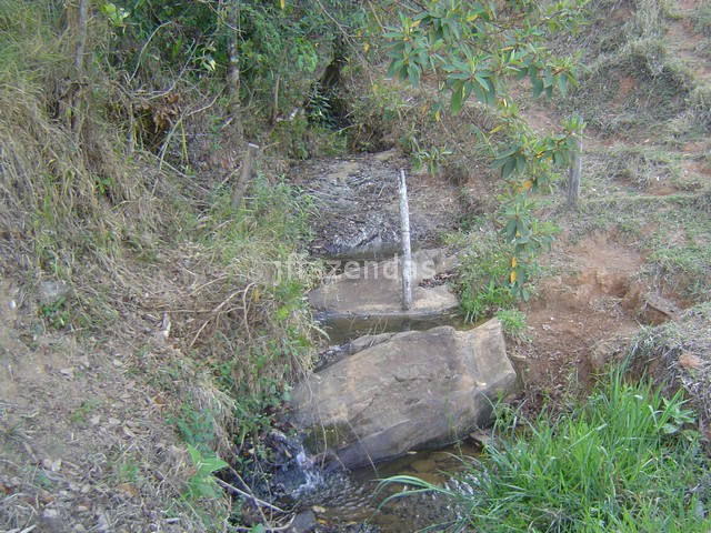 Sítio em Juiz de Fora- MG – 7,4 hectares Sítio em Juiz de Fora- MG – 7,4 hectares
