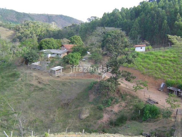 Sítio em Juiz de Fora- MG – 7,4 hectares Sítio em Juiz de Fora- MG – 7,4 hectares