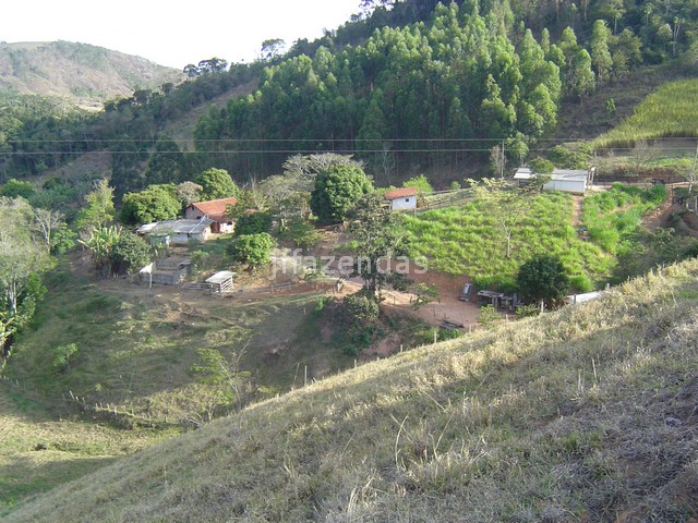 Sítio em Juiz de Fora- MG – 7,4 hectares Sítio em Juiz de Fora- MG – 7,4 hectares