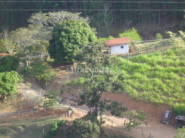 Sítio em Juiz de Fora- MG – 7,4 hectares Sítio em Juiz de Fora- MG – 7,4 hectares