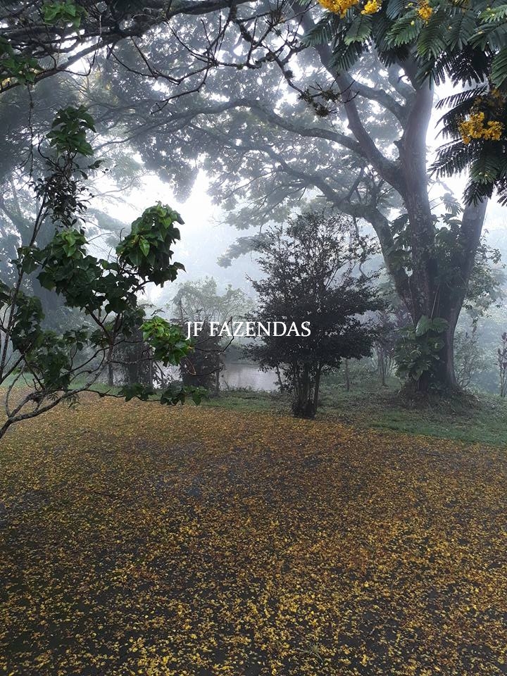 Granja em Juiz de Fora – MG – 1,05 hectare Granja em Juiz de Fora – MG – 1,05 hectare