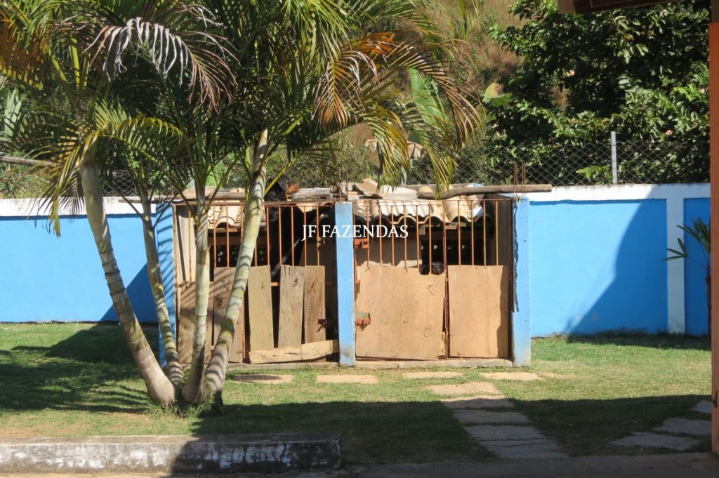 Granja em Juiz de Fora – MG – 1900 m² Granja em Juiz de Fora – MG – 1900 m²